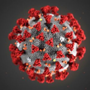 Das Corona-Virus und vernachlässigte Tropenkrankheiten